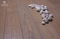 s31-f1-bpl-rgb.jpg