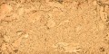 Melville_1-1000x500.jpg