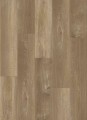 NF10118 Soria m.jpg